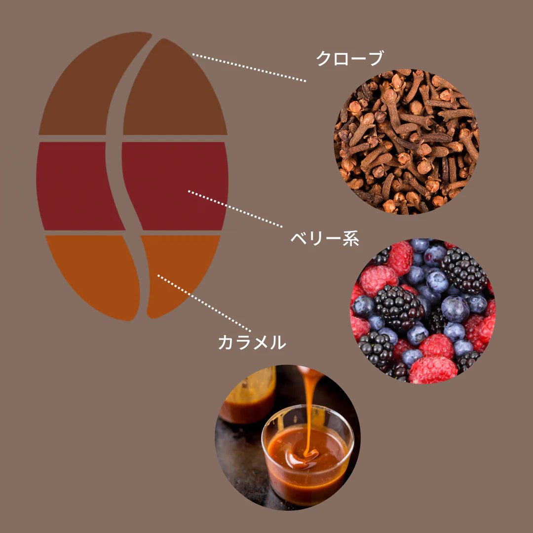豆善のコーヒー豆 モカブレンド(おすすめ焙煎度は6 フルシティロースト)100g分 - Espresso Tokyo
