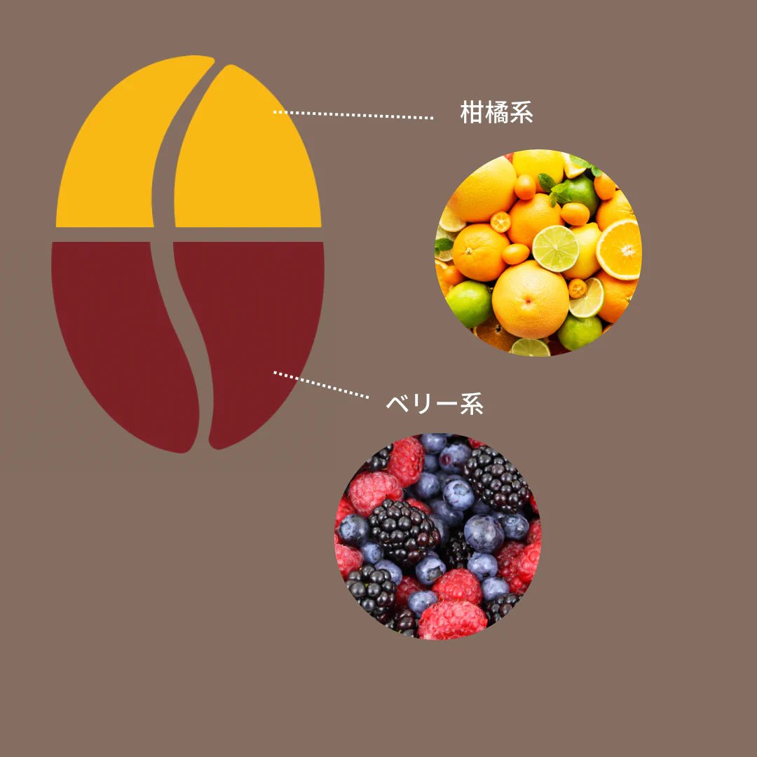 豆善のコーヒー豆 アイスブレンド(おすすめ焙煎度は8 イタリアンロースト)100g分 - Espresso Tokyo