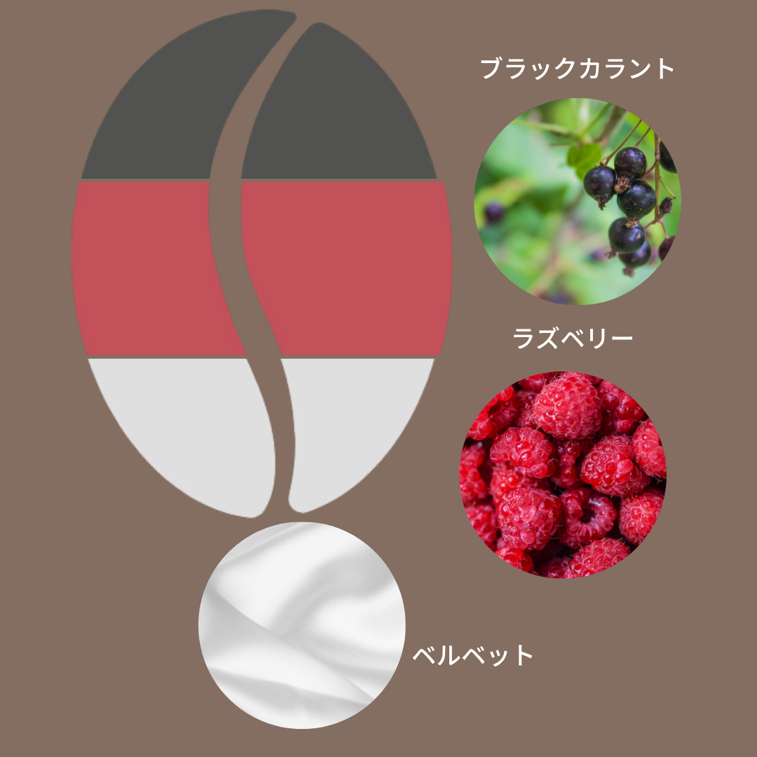 ケニア グアマ ウォッシュド AA/ Kenya Guama Washed AA 100g