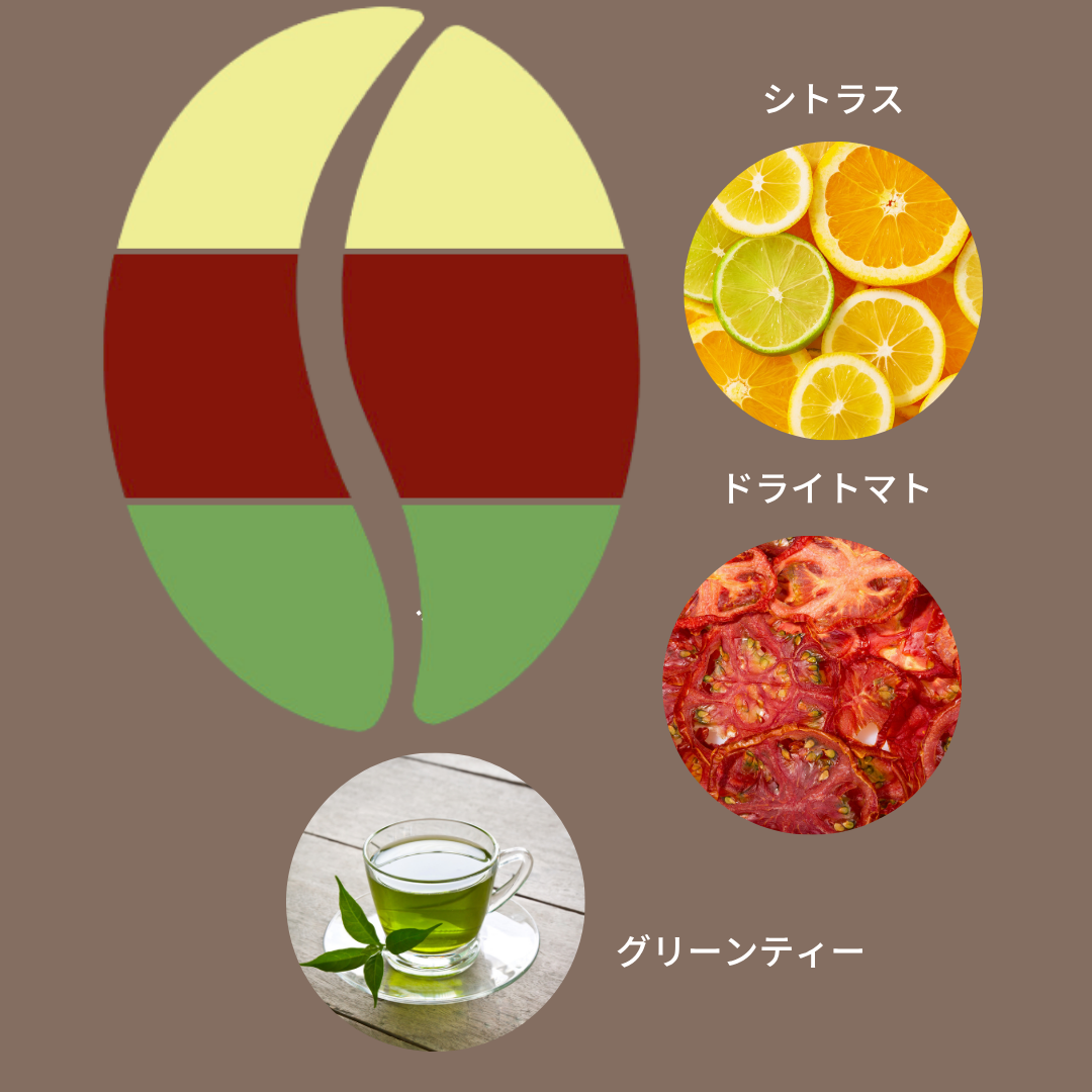 豆善 サマー ブレンド/ Mamezen Summer Blend 100g