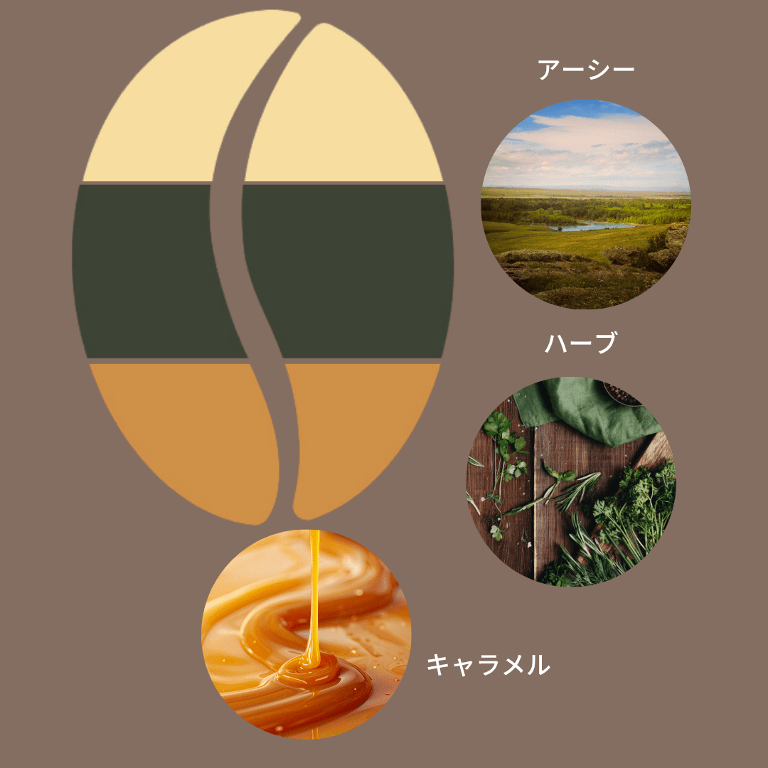 インドネシア マンデリン ビンタンリマ/ Indonesia Mandheling Bintang Lima 100g - Espresso Tokyo