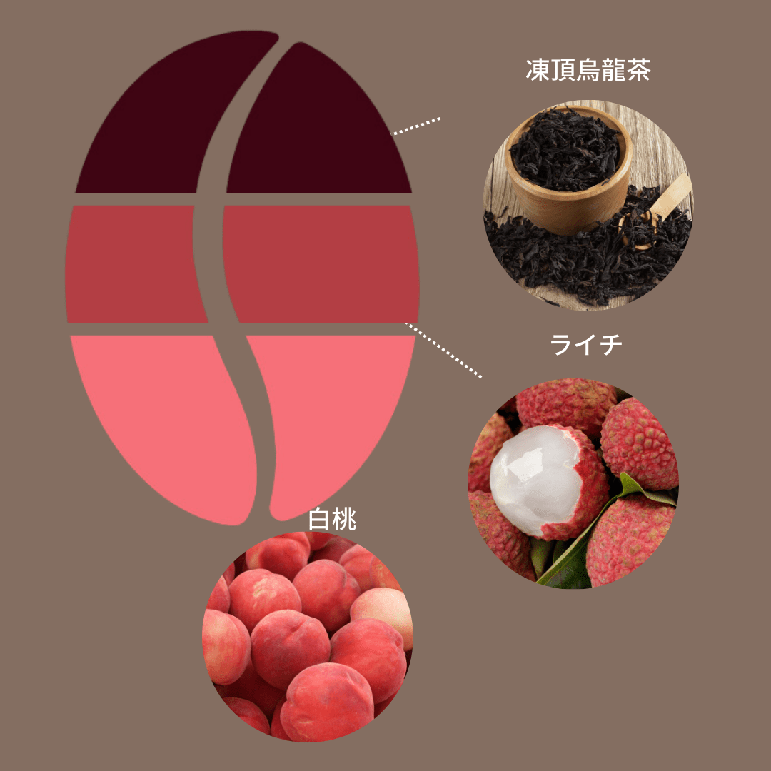 中国 徳広 イーストファーメンテーションハニー - Espresso Tokyo