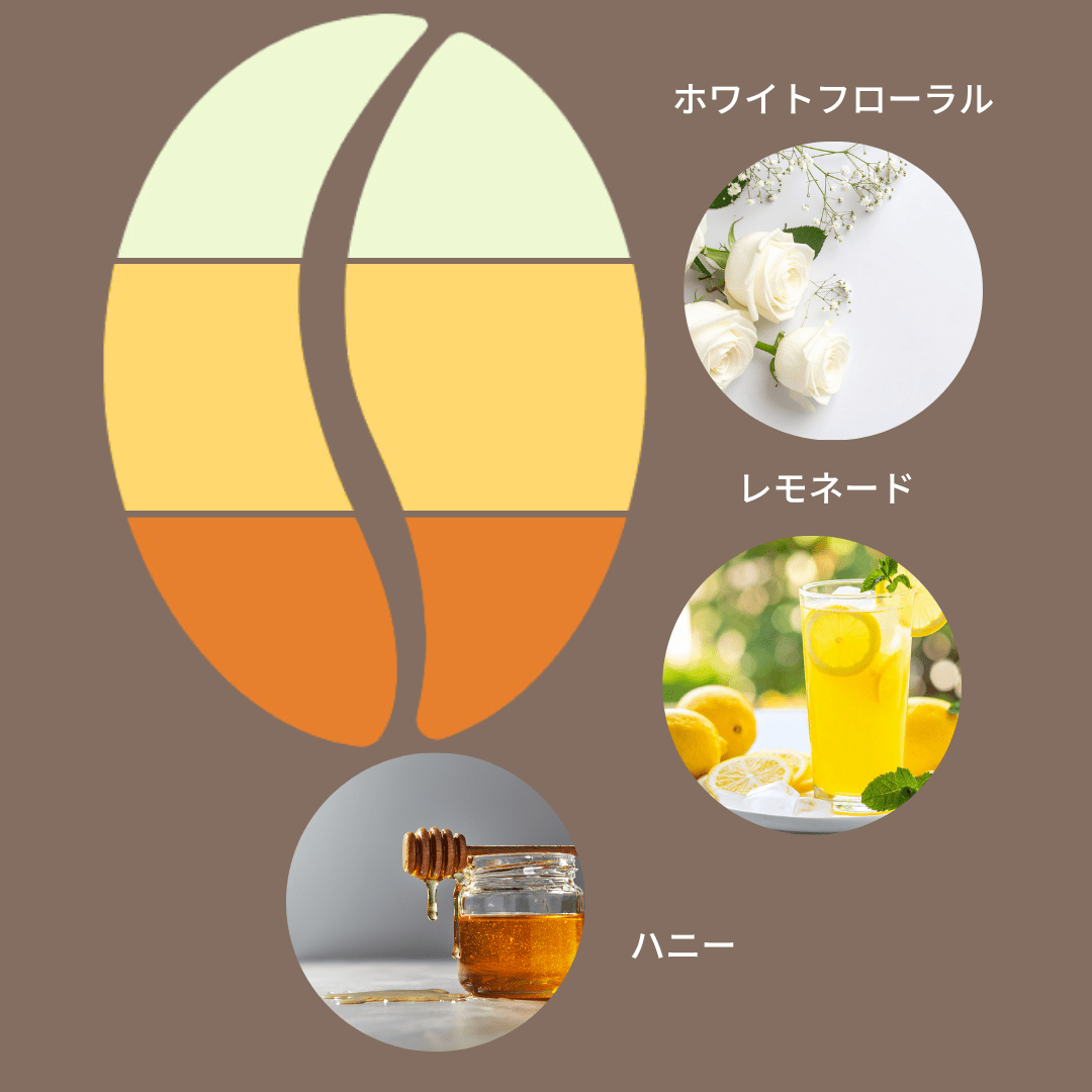 ウガンダ マウントエルゴン カプチョルワWS ブラックハニー/ Uganda Mt. Elgon Kapchorwa WS Black Honey 100g - Espresso Tokyo