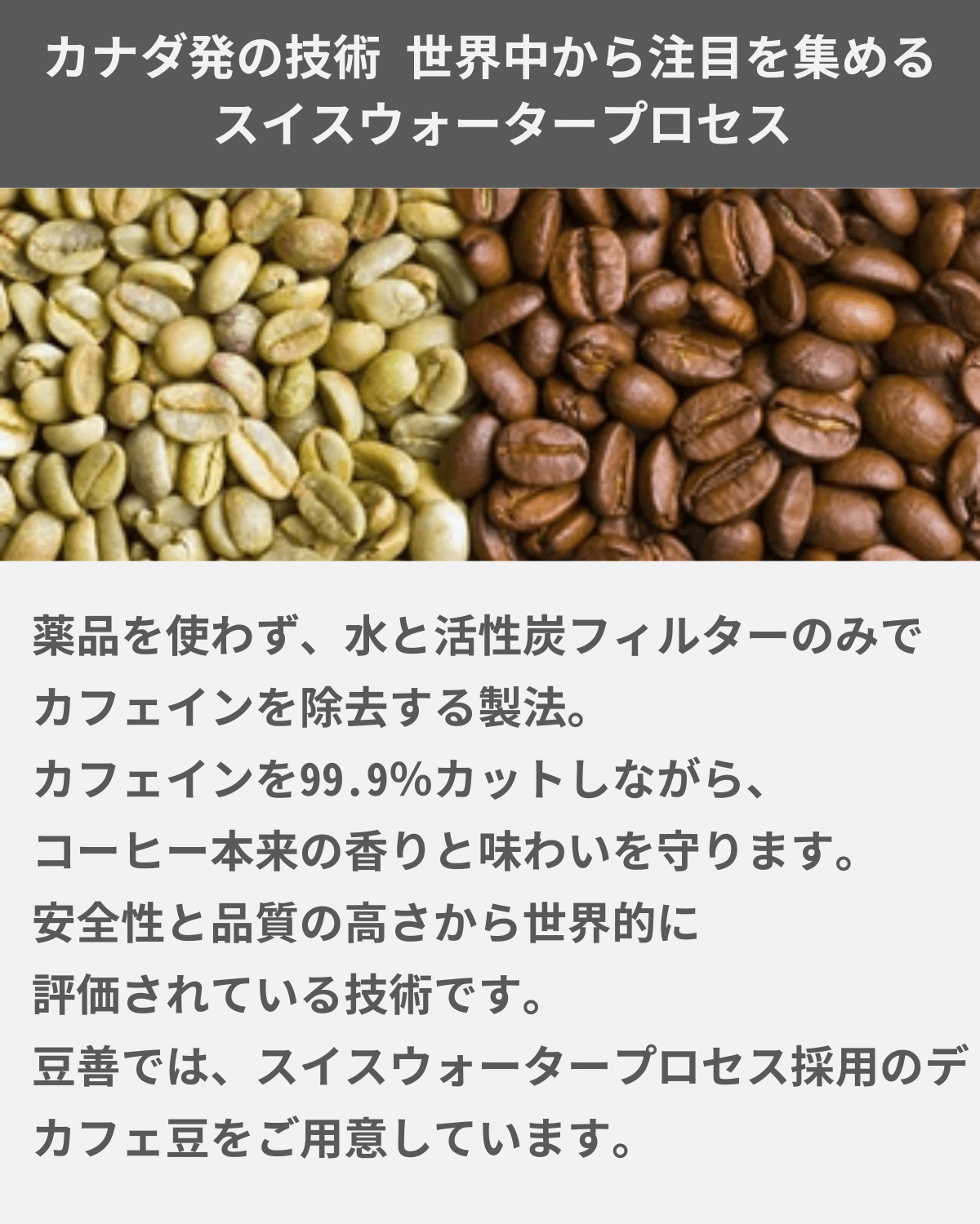 デカフェ・カフェインレスのスペシャリティドリップコーヒー16個の詰め合わせ - Espresso Tokyo