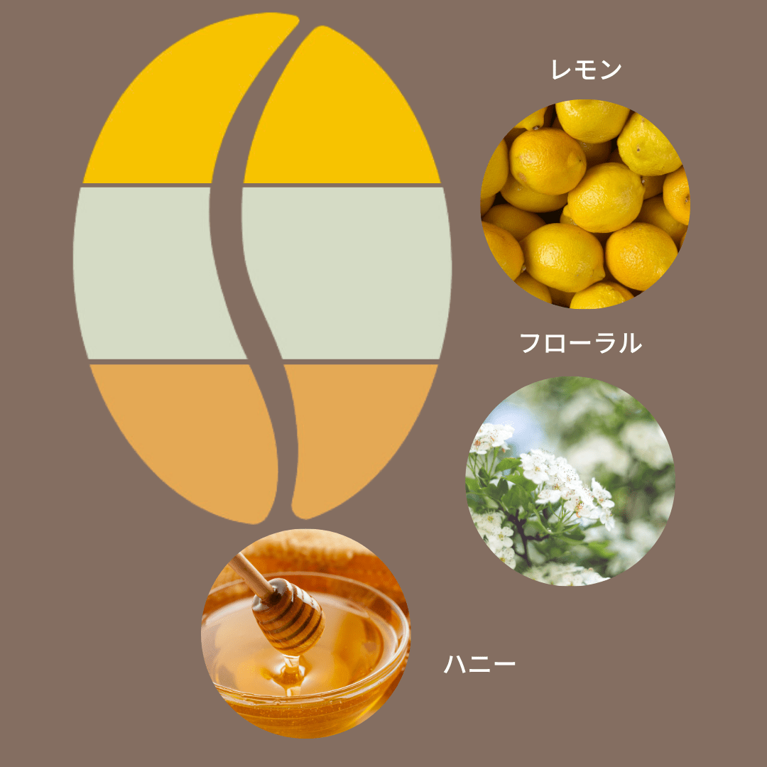 豆善 デカフェ・カフェインレス スペシャルティコーヒー豆 2種セット（各150g） - Espresso Tokyo