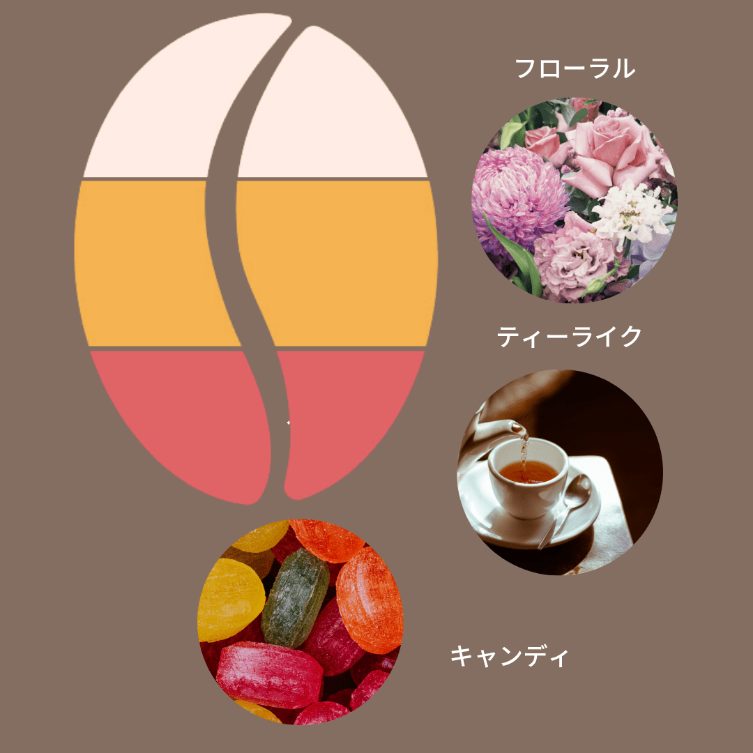 ドリップパック デカフェ 4個セット (2種×2) - Espresso Tokyo