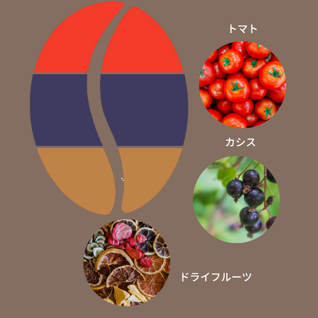 ケニア マサイ AA/ Kenya Masai AA 100g