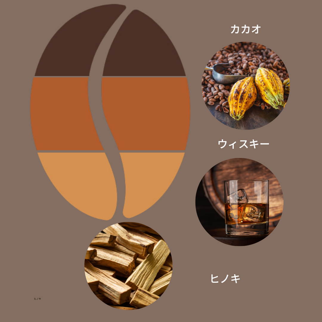 エルサルバドル ラ・エスメラルダ農園 レッドブルボン SHG ナチュラル/ El Salvador Finca La Esmeralda Red Bourbon SHG Natural 100g