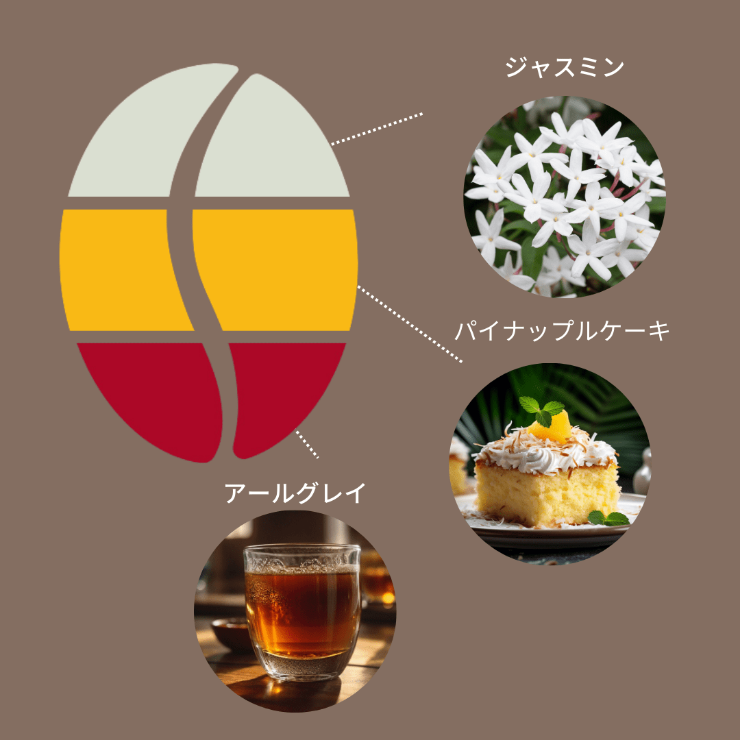 コロンビア ラ・シベリア Best Of Tolima 8/ Colombia La Siberia Best Of Tolima 8 100g - Espresso Tokyo