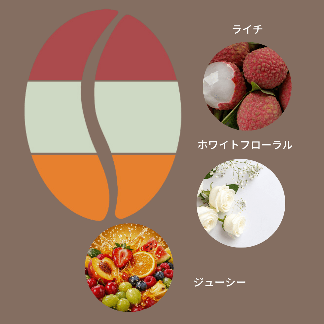 コロンビア キンディオ インフューズド ライチ ハニー/ Colombia Quindio Infused Lychee Honey - Espresso Tokyo