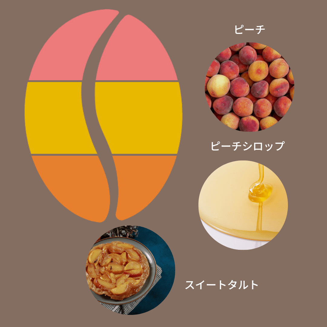 コロンビア キンディオ インフューズド ピーチ ハニー/ Columbia Quindio Infused Peach Honey - Espresso Tokyo