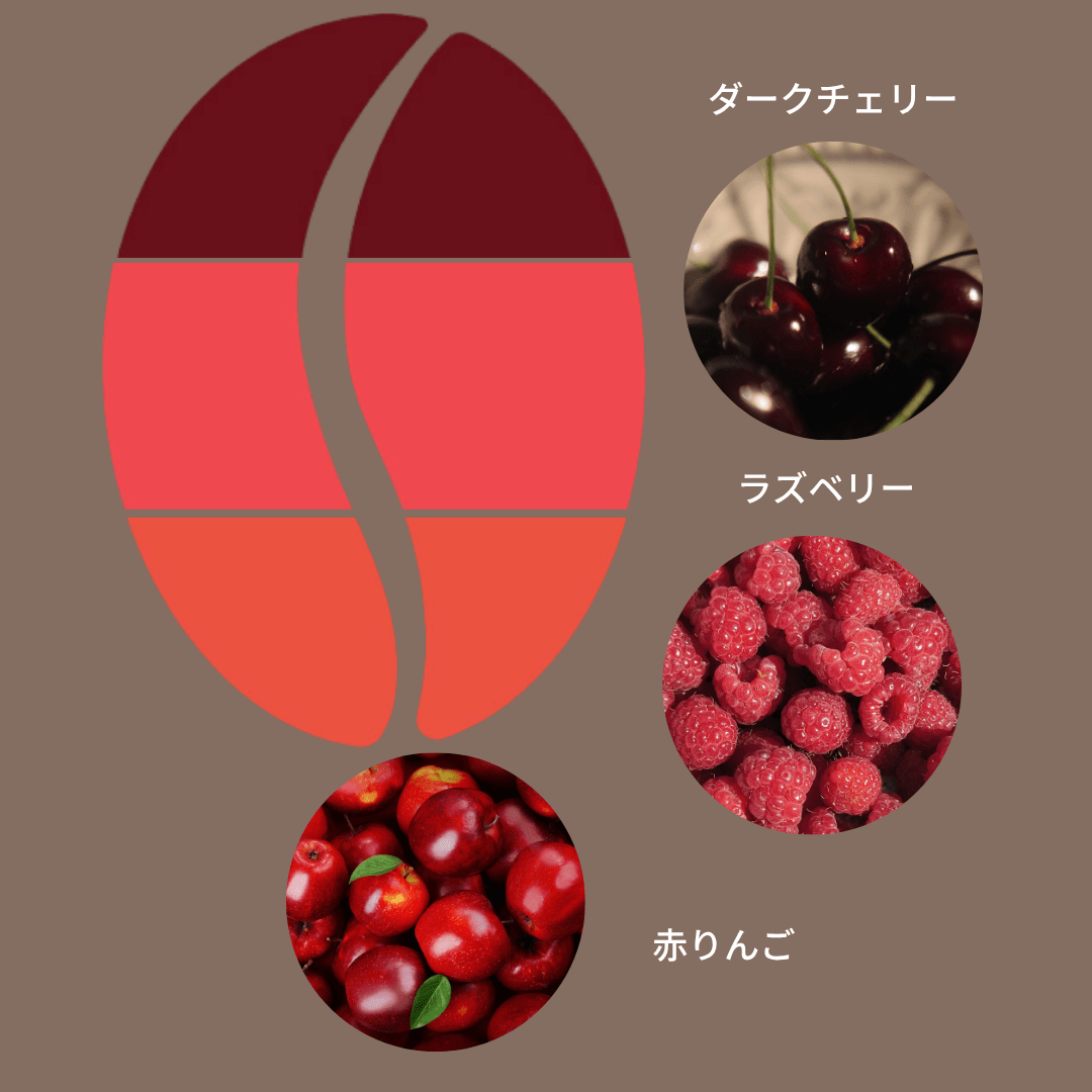 エチオピア シリンガ G1 ナチュラル/ Ethiopia Silinga G1 Natural 100g - Espresso Tokyo