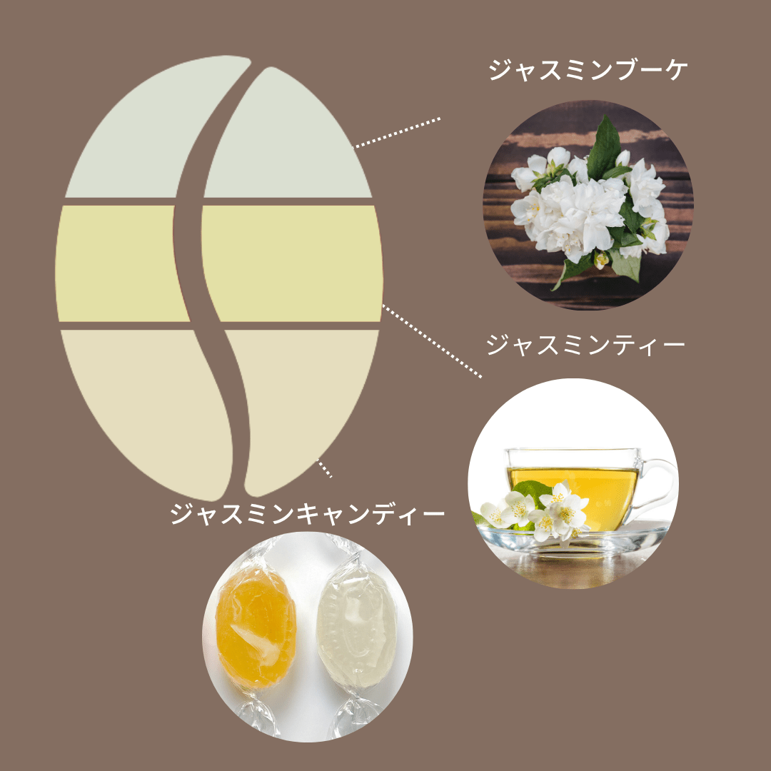 インドネシア シマレン農園 ジャスミンインフューズドファーメンテーション/ Indonesia Simaren Farm Jasmine Infused Fermentation 100g - Espresso Tokyo
