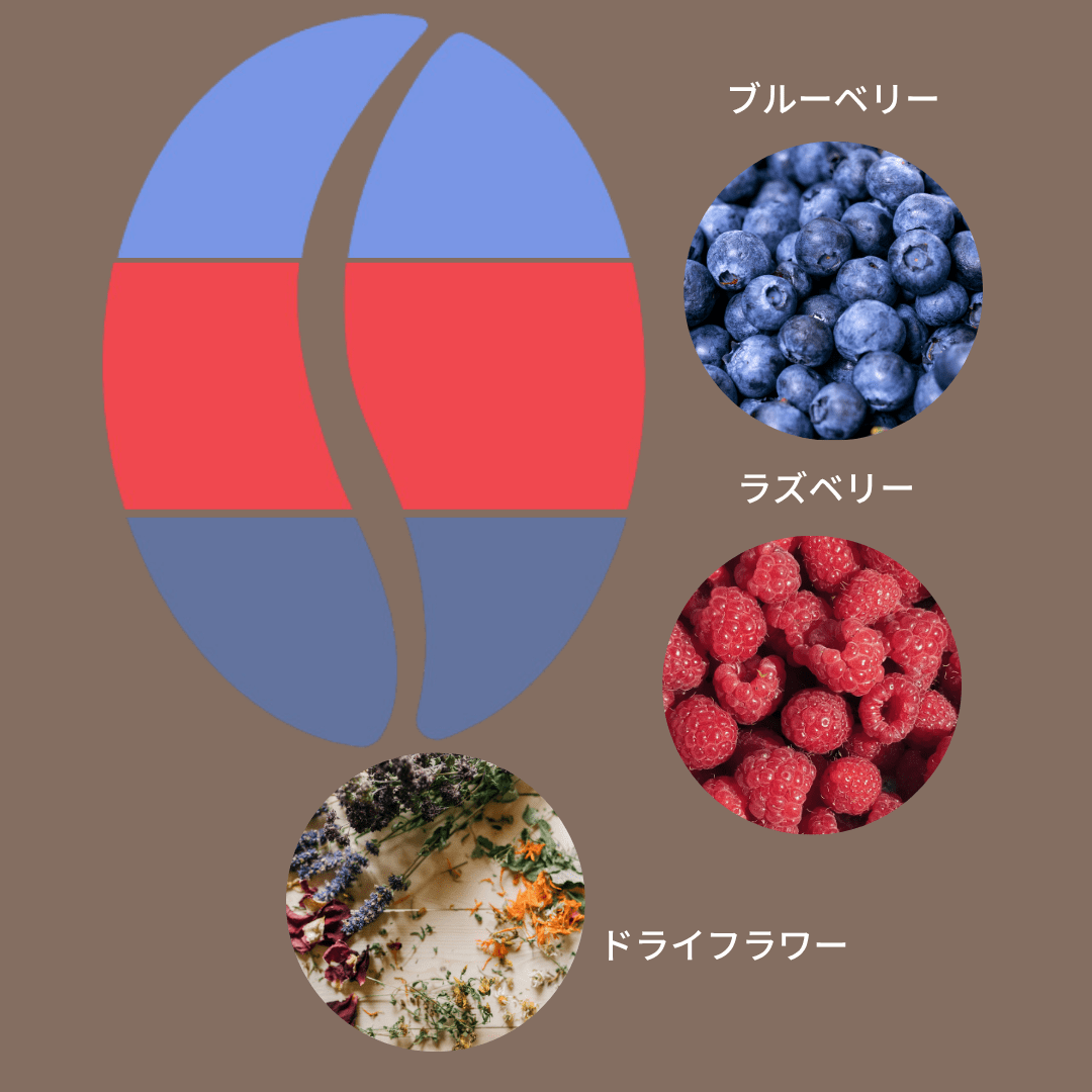 ニカラグア ラス・デリシアス ジャバニカ ナチュラル/ Nicaragua Las Delicias Javanica Natural 100g - Espresso Tokyo