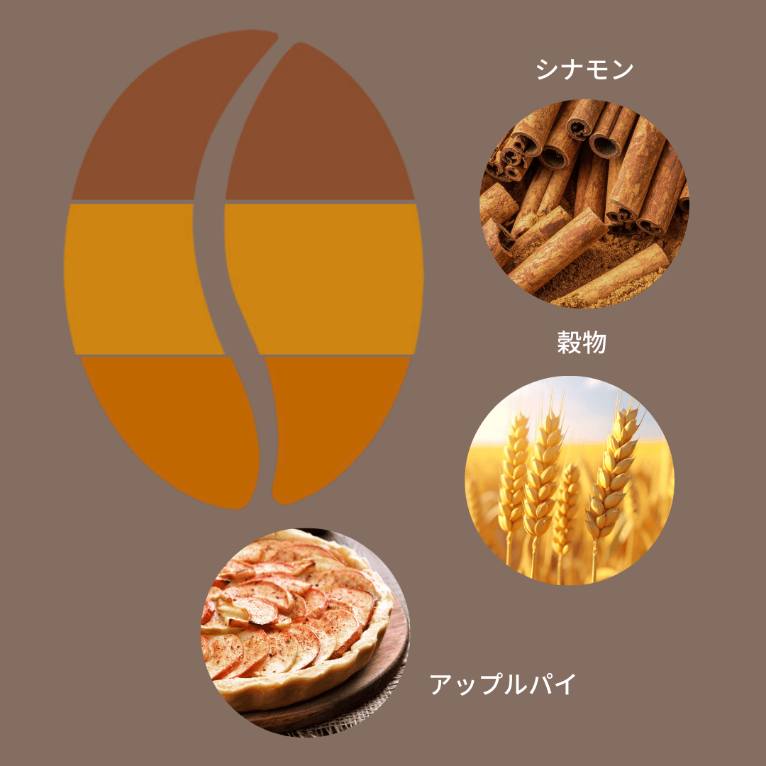 コロンビア シナモンインフューズド - Espresso Tokyo