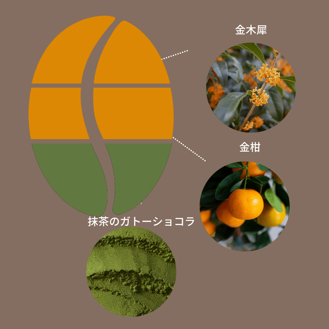 コロンビア ラス・フローレス タビ ファーメンテッドウォッシュ - Espresso Tokyo