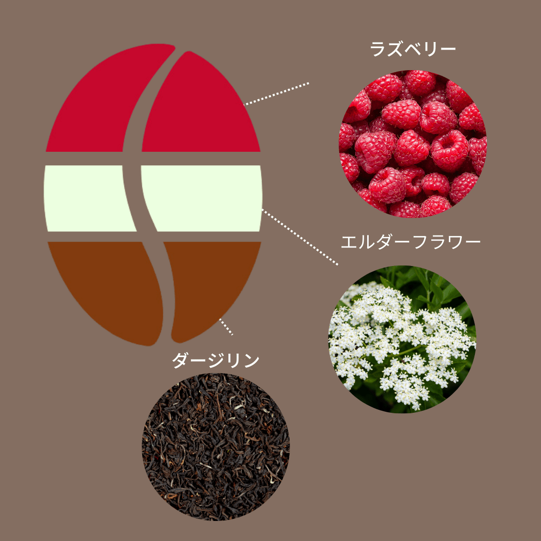 ニカラグア ラス・デリシアス ジャバニカ ナチュラル - Espresso Tokyo