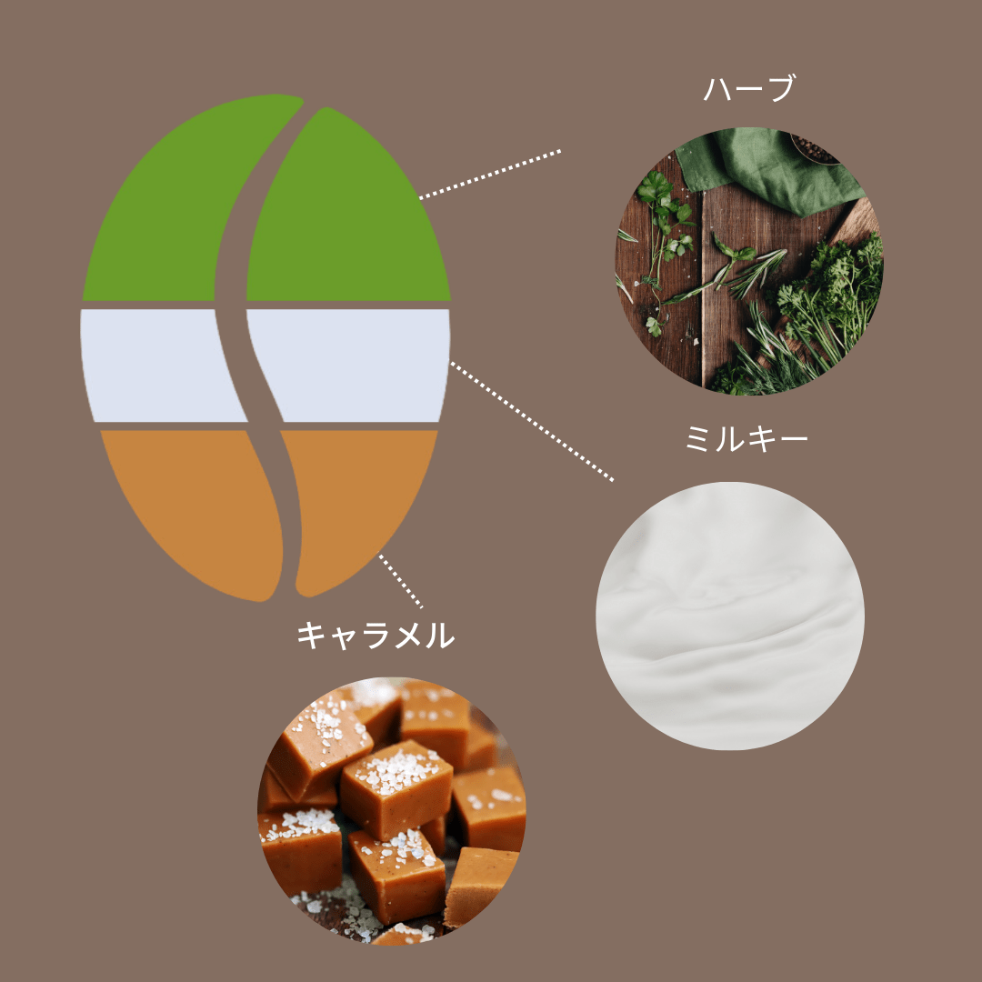 インドネシア マンデリン ビンタンリマ - Espresso Tokyo