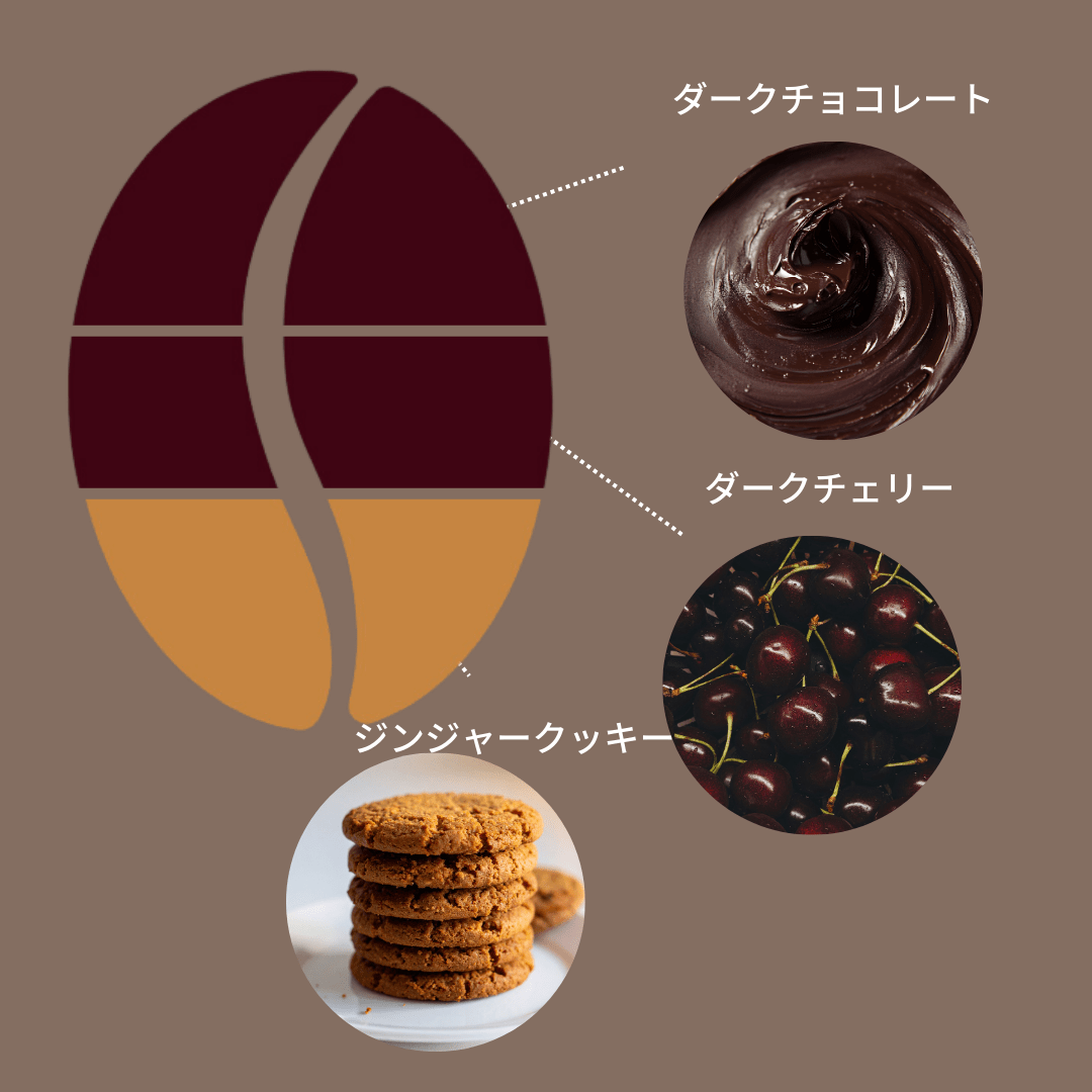 ニカラグア ロス・アルティプラノス パカマラ ウォッシュ - Espresso Tokyo